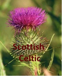 Scottish & Celtic album artwork